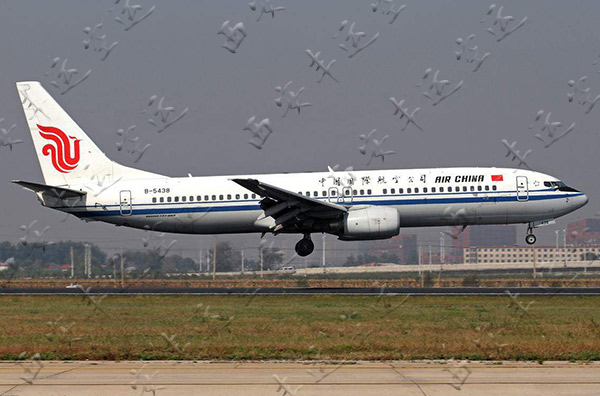 新开到印度航线|西安空运有优势